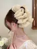 Presilha de Cabelo de Pena para Mulheres, Presilha de Garra Grande em Formato de Nuvem Bolha, Presilha Tubarão, Novo Acessório de Cabelo, Presilhas de Cabelo Venda por Atacado Mista