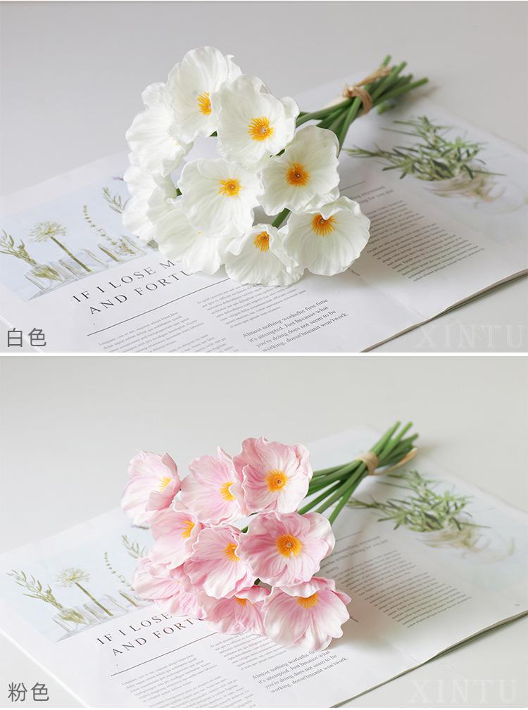 罂粟_06.jpg