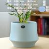 Vaso de cerâmica nórdico simples grande com bandeja carnuda phalaenopsis planta verde vaso de plástico atacado uma geração de cabelo