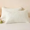 Funda de Almohada Anti-Aceite para la Cabeza 48X74 Anti-Saliva y a Prueba de Suciedad Par de Cubiertas Protectoras para el Relleno de Almohada Capa Aislante Anti-Sudor