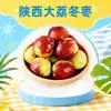 Jujubes de Invierno Shaanxi Dali al por Mayor y Entrega 2/ 1.5 kg Jujubes Crujientes Dulces Frescos, Tamaño Mediano y Grande, Caja de Color, Directo del Huerto, Fruta Fresca