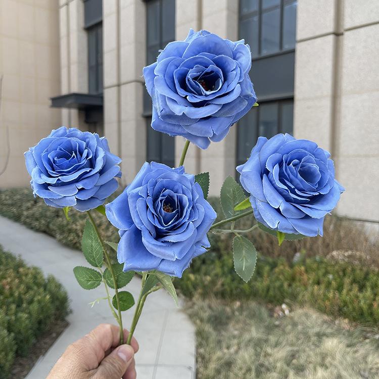 4头天使玫瑰-sxwwyx-蓝色.JPG