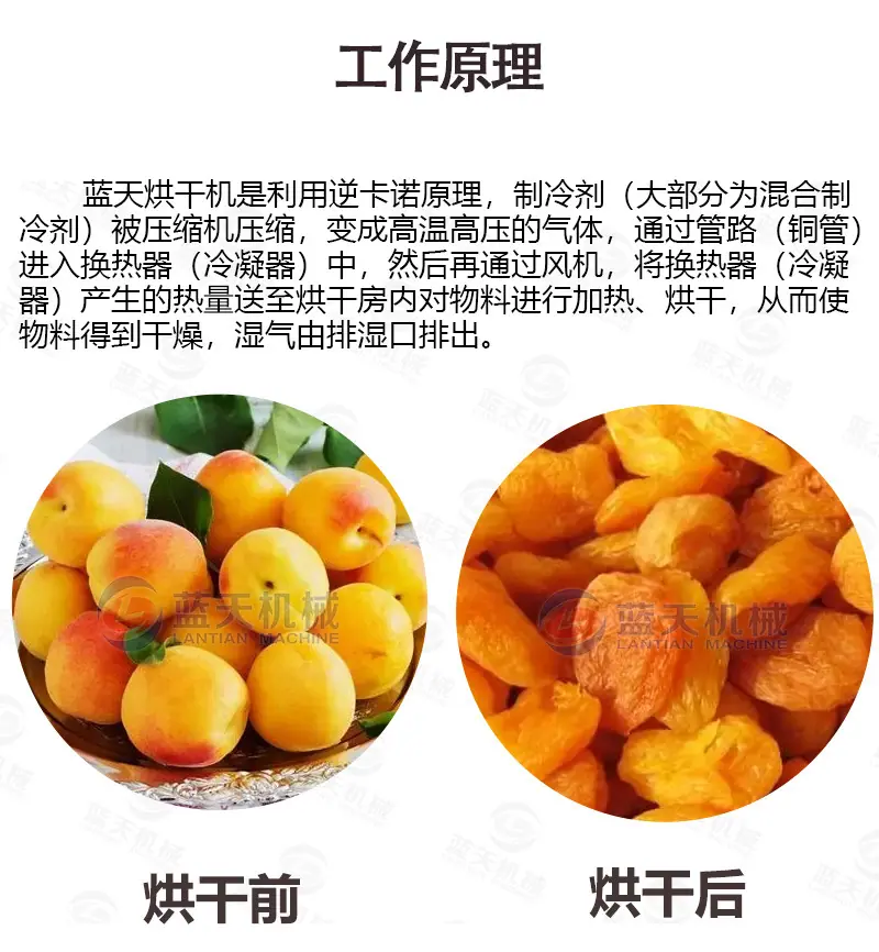详情(20盘)_04.jpg
