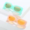 Gafas de Sol Cuadradas Nuevas Transfronterizas, Venta Caliente Internacional al por Mayor, Cuadradas Simples Multicolores, Versátiles de Colores para Mujer