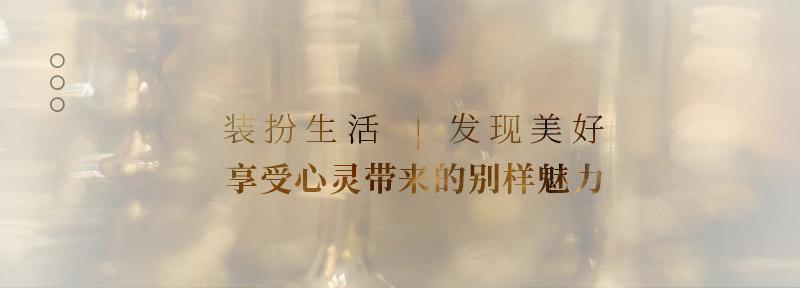 2506.琥珀色离子镀详情_05.jpg