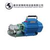 Chongqing 220V bomba portátil para aceite de engranajes a prueba de explosiones resistente a altas temperaturas bomba pequeña de barril bomba de aceite de engranajes