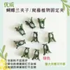 Clip de Planta Phalaenopsis de Colores Forma de Flor Clip Fijador de Enredaderas Accesorios de Clip a Juego para Varilla de Soporte de Injerto de Jardinería