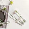 Tubo da orquídea no estoque atacado buquê de flores material de embalagem flor Flor nutrição tubo de armazenamento de água tubo de preservação buquê tubo de preservação