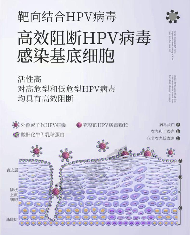 珺普惠医用抗HPV生物蛋白功能敷料病毒干扰素凝胶降低载量妇科阴