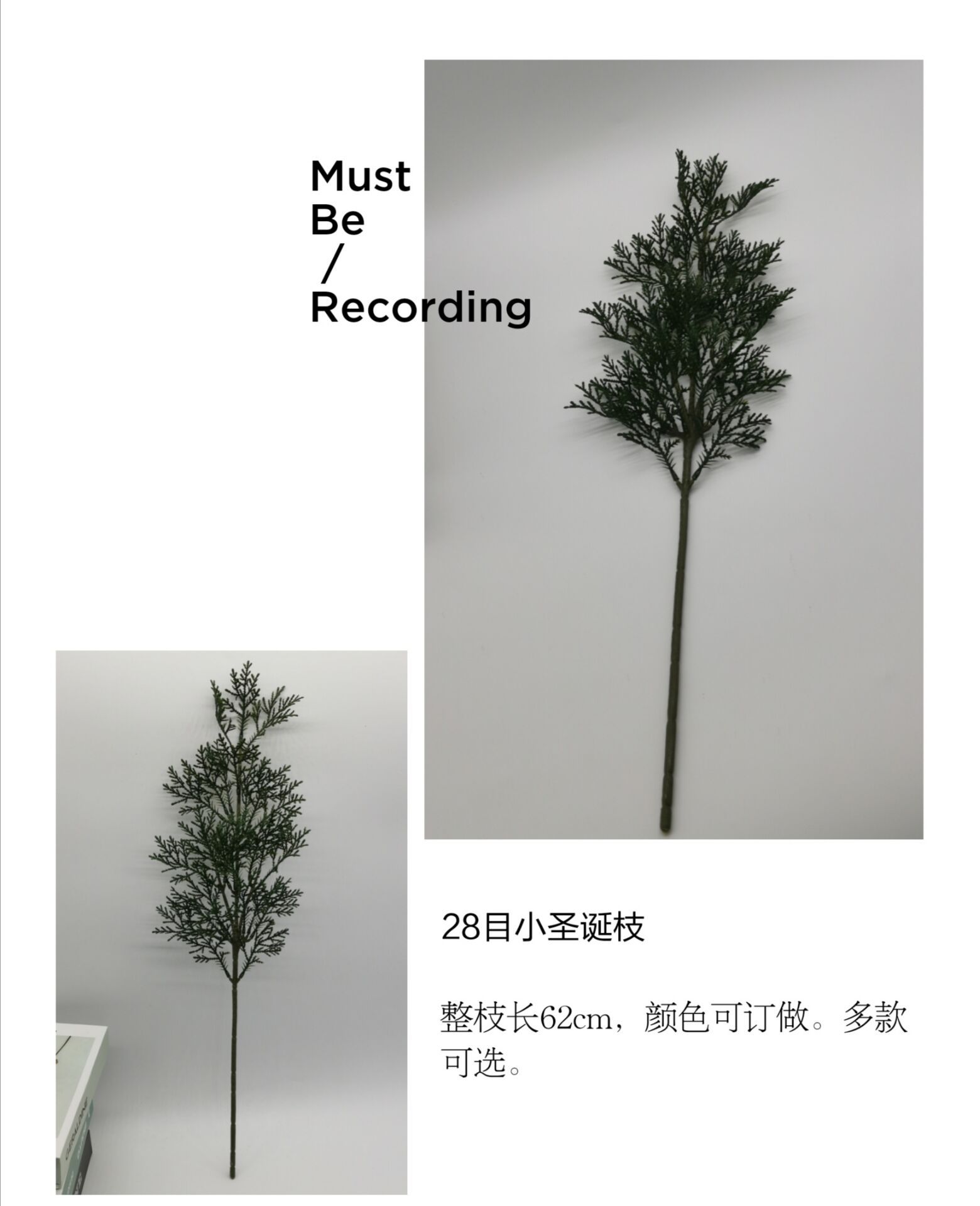 QQ图片20200615162703.jpg