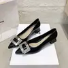 Novas Sapatos Femininos Retrô Francês de Bico Fino para o Outono de 2026 com Fivela Quadrada, Bico Baixo, Salto Baixo, Estilo para o Trabalho, Sapatos Elegantes
