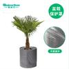 Cubierta Protectora para Macetas de Tela Oxford de Invierno Transfronteriza Cubierta Antihielo para Plantas de Invierno Jardín Exterior Jardín Cubierta para Libros a Prueba de Frío
