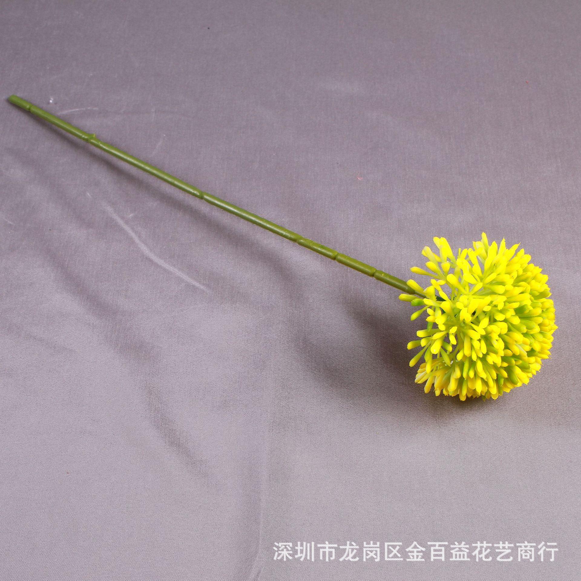 IMG_8580_副本.jpg