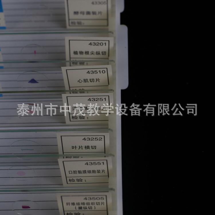 切片 (5)