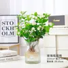 Jasmim Hidropônico em Vaso Planta de Interior Hidropônica Flor Aquática Mudas Fácil de Cuidar Todas as Estações Planta de Mesa para Escritório