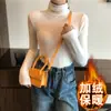 Camiseta Básica de Color Sólido con Cuello Alto y Forro de Felpa para Otoño e Invierno para Mujer 2026, Camiseta de Manga Larga para Mujer, Top Ajustado, Estilo Coreano de Moda