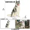 Modelos de Animales Realistas: Doberman, Golden Retriever, Perro de Peluche, Husky, Collie - Adornos para Coche y Juguetes para Niños