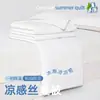 Colcha de Aire Acondicionado Antibacteriana de Enfriamiento de Doble Cara de Clase Alta Seda de Hielo Colcha Refrescante de Verano Núcleo de Colcha Lavable a Máquina Colcha Fina de Verano
