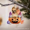 Transfronterizo Nuevo Creativo Perro Calabaza Colgante para Coche Colgante para Árbol de Navidad de Halloween Decoraciones para el Hogar