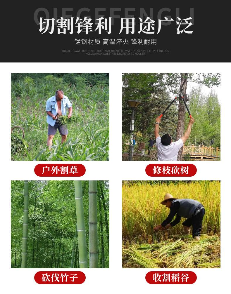 详情_03.jpg