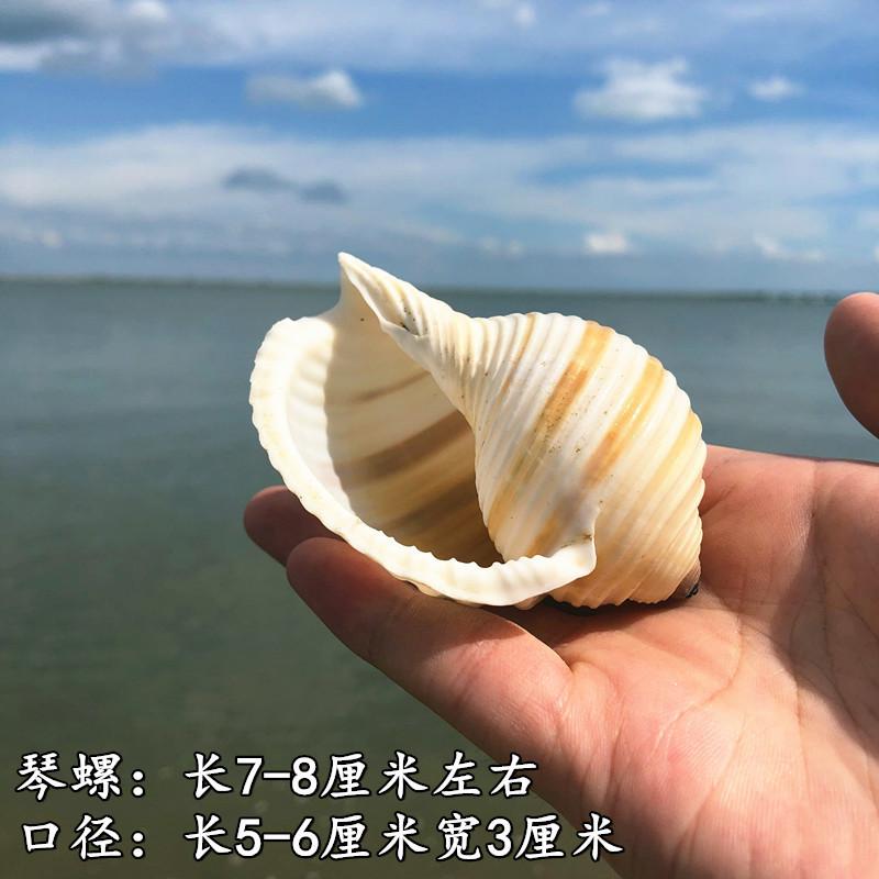 QQ图片20190901111547.jpg