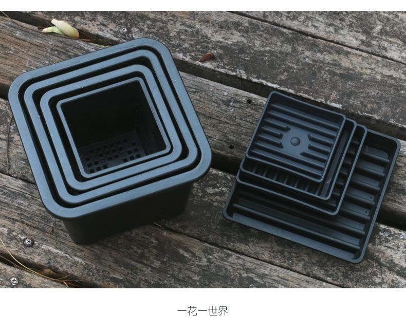 景天盆+托盘详情_02.jpg