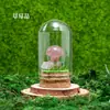 Venta al por mayor de fábrica Piedra Bruta de Cristal Natural Muestra de Mineral para Niños Divulgación Científica Enseñanza Piedra Semipreciosa Adorno de Escritorio para el Hogar