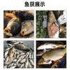 Cebo de Batata para Carpa, Cebo Fragante de Batata Vieja, Cebo de Doble Propósito para Señuelo de Pesca de Carpa, Cebo de Nidificación para Pozos Negros de Embalses de Pesca Salvaje