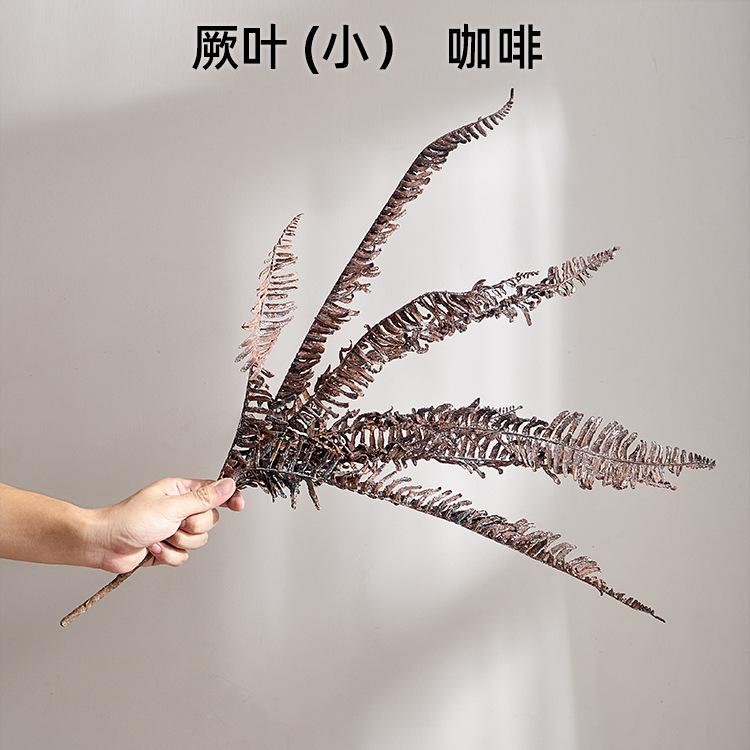 厥叶 (小）  咖啡