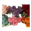 Nuevo ramo de 10 cabezas Clavel comercio exterior transfronterizo venta al por mayor flor de seda pastoral hogar fresco interior hermosas flores falsas