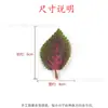 Venta caliente en AliExpress simulación multiestilo color primavera serigrafía hoja DIY pasador arreglo floral accesorios de decoración para fotografía