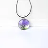 Colar Árvore de Flores Secas Corrente de Suéter Colar Estilo Literário Colar Simples Specimen de Gipsofila Colar de Pedra do Tempo