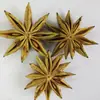 Anis-estrelado Anis-estrelado Liofilizado Anis-estrelado Vermelho Anis-estrelado Anis-estrelado Vermelho de Guangxi