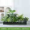 Série de Expressões Idiomáticas de Quatro CaracteresPlantas Verdes Simuladas para Paisagismo, Floreiras de Flores Artificiais, Divisórias, Vitrines de Exposição de Plantas Tropicais Biônicas para Exterior