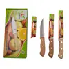 Fabricante de Yangjiang Cuchillo de Fruta con Mango de Madera y Hoja de Acero Inoxidable