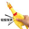 Brinquedo para Cachorro Som Ursinho Cachorro de Porte Pequeno e Médio Desespero Frango Gugu Frango Gritando Frango Gritando Transfronteiriço Amazon Mais Vendido