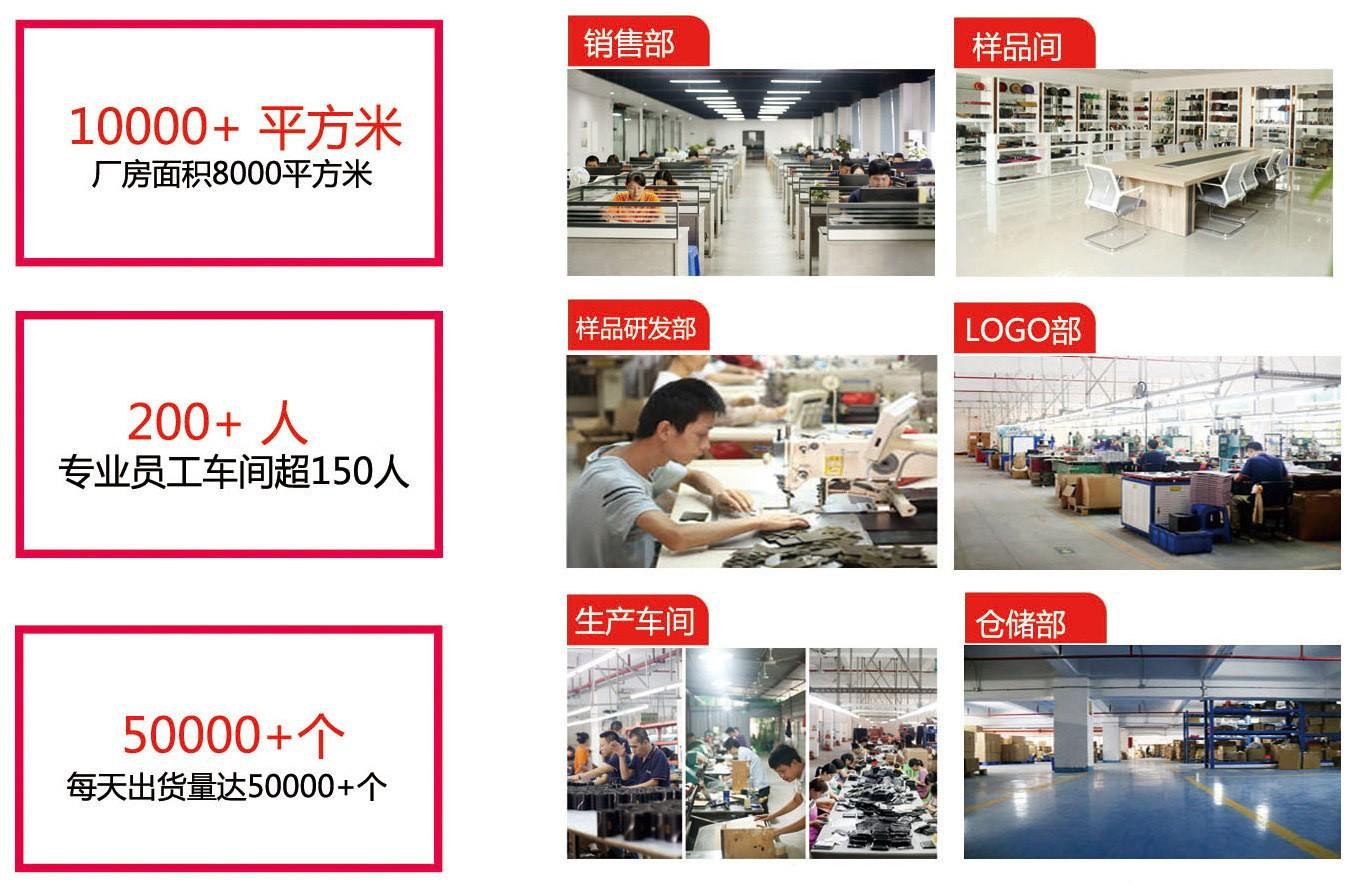 公司介绍