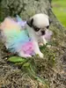 Disfraz Europeo y Americano para Mascota Color Block Oso Salsa Falda Fiesta de Gato Fiesta Disfraz Perro Día de Halloween Falda Salsa