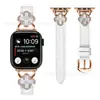 Adequado para Apple Watch10/8/9/7/6/5/4/3/Ultra49Mm Pulseira Trevo de Quatro Folhas Cauda Pontuda