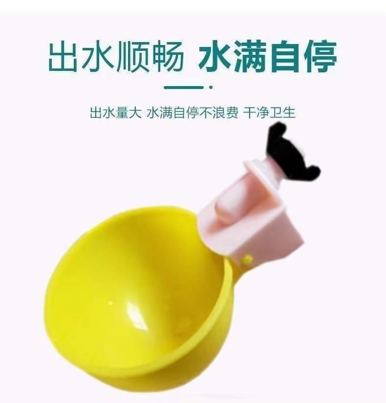 详情 (7).jpg