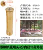 Columna de Flor de Manantial de Cedro DC Universal Ventilador en Forma de Champiñón Fuegos Artificiales Cola de Pavo Real con Válvula Fuente de Agua Aspersor para Fuente de Paisaje