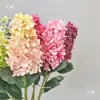 Hortênsia Branca e Verde Jacinto Grande Buquê de Hortênsias Arranjo de Flores para Casamento em Jardim Externo Casamento Coreano Retro Flores de Haste Alta