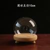 Lámpara LED Flor Eterna Bola Cubierta de Vidrio Tono Agitado Molde Manual Cubierta Antipolvo Cubierta de Vidrio Transparente Tulipán Especial