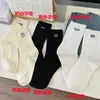 Calcetines Lindos de Media Longitud para Primavera y Verano Sin AB Color Sólido Calcetines de Perro para Mujer Estilo Ins Japonés de Alto Valor Dibujos Animados Calcetín Vertical