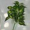 Venda Direta da Fábrica Planta Verde Pothos Manchado de 7 Pontas Montada na Parede Vaso de Flor Pendurado na Parede de Casa Decoração Pendurada de Videira Longa