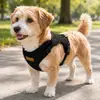 Nuevo Arnés para Mascotas, Arnés con Correa para Perros, Antishock, Transpirable, No Estrangula el Cuello, Suave y Cómodo, Suministros para Mascotas