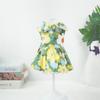 Pet Dress Vestido Boneca Vestido Primavera e Verão Roupas Filhote de Cachorro Teddy Pet Suprimentos