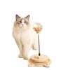 Juguete para Gatos Bola Dispensadora de Comida, Alivio del Aburrimiento del Gato, Juguetes de Inteligencia para Perros y Gatos, Suministros para Gatos de Autoplacer para Mascotas al Por Mayor