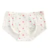 3030 Cinturilla de Nylon Spandex de Alta Elasticidad Pegamento Fruta Calzoncillos Boxer Lindos Entrepierna Extendida Pantalones Triángulo Sin Costuras de Seda Helada