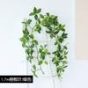 Colgante de Pared de Planta Verde Simulada Ratan de Eucalipto Colgante de Pared Decoración de Boda Decoración de Tubería Ratan de Hoja de Eucalipto